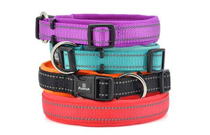 Dog Basic Collars