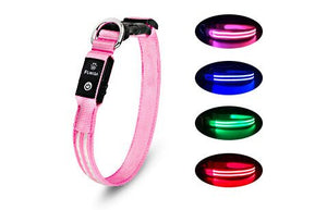 LED Dog Collar