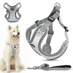 Load image into Gallery viewer, PcEoTllar Dog Harness and Leash Combo, Escape Proof No Pull Vest Harness, Step-in Reflective Adjustable Soft Padded Pet Harness for Small to Large Dogs
