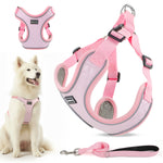 Load image into Gallery viewer, PcEoTllar Dog Harness and Leash Combo, Escape Proof No Pull Vest Harness, Step-in Reflective Adjustable Soft Padded Pet Harness for Small to Large Dogs
