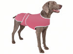 Load image into Gallery viewer, PcEoTllar Dog Recovery Suit After Surgery, Soft Breathable Dog Cat Onesie, Surgical Recovery Suit for Female Male Dogs Cats
