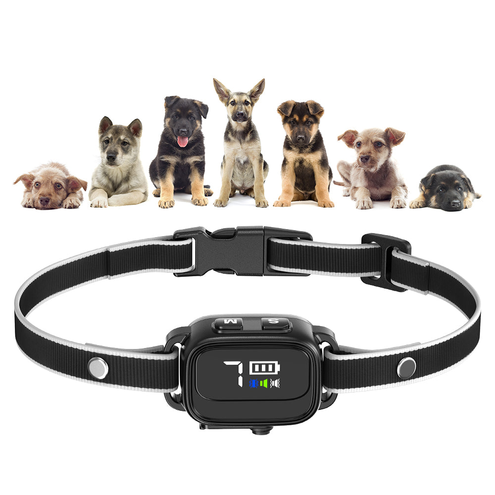 Anti-Bark Collar for Small Dogs, No Shock Anti Barking Collars with 7 Sensitivities, 3 Adjustable Modes Beep & Vibration, IP67 Waterproof - Effective & Humane Small Dogs Bark Collar-Black