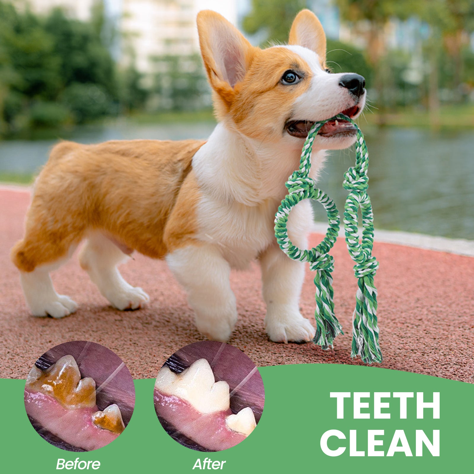 PcEoTllar Dog Toys for Aggressive Chewers, Dog Rope Toy with Metal Rings, Tug of War Rope Dog Chew Toys for Small, Medium and Large Dogs