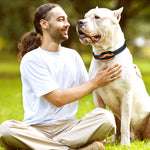 Load image into Gallery viewer, PcEoTllar Dog Training Collars for 2 Dogs, 2 Receivers Dog Shock Collar with Remote, 3 Training Modes Beep Vibration Shock for Small Medium Large Dogs
