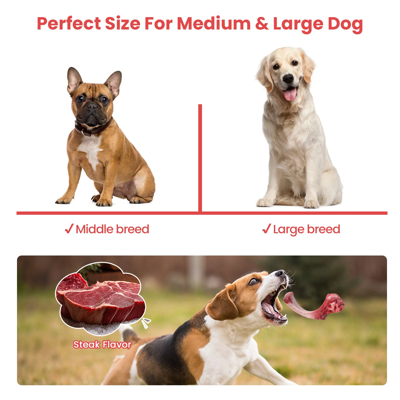 PcEoTllar Dog Toys for Aggressive Chewers, 1 Rubber & 1 Nylon Dog Chew Bones, Large, Pink, 2 Pack