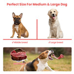 Load image into Gallery viewer, PcEoTllar Dog Toys for Aggressive Chewers, 1 Rubber &amp; 1 Nylon Dog Chew Bones, Large, Pink, 2 Pack
