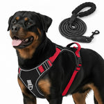Load image into Gallery viewer, PcEoTllar Dog Harness and Leash Combo, Escape Proof No Pull Vest Harness, with Reflective Leash, Adjustable Pet Harness with Handle for Small Dogs, Black S
