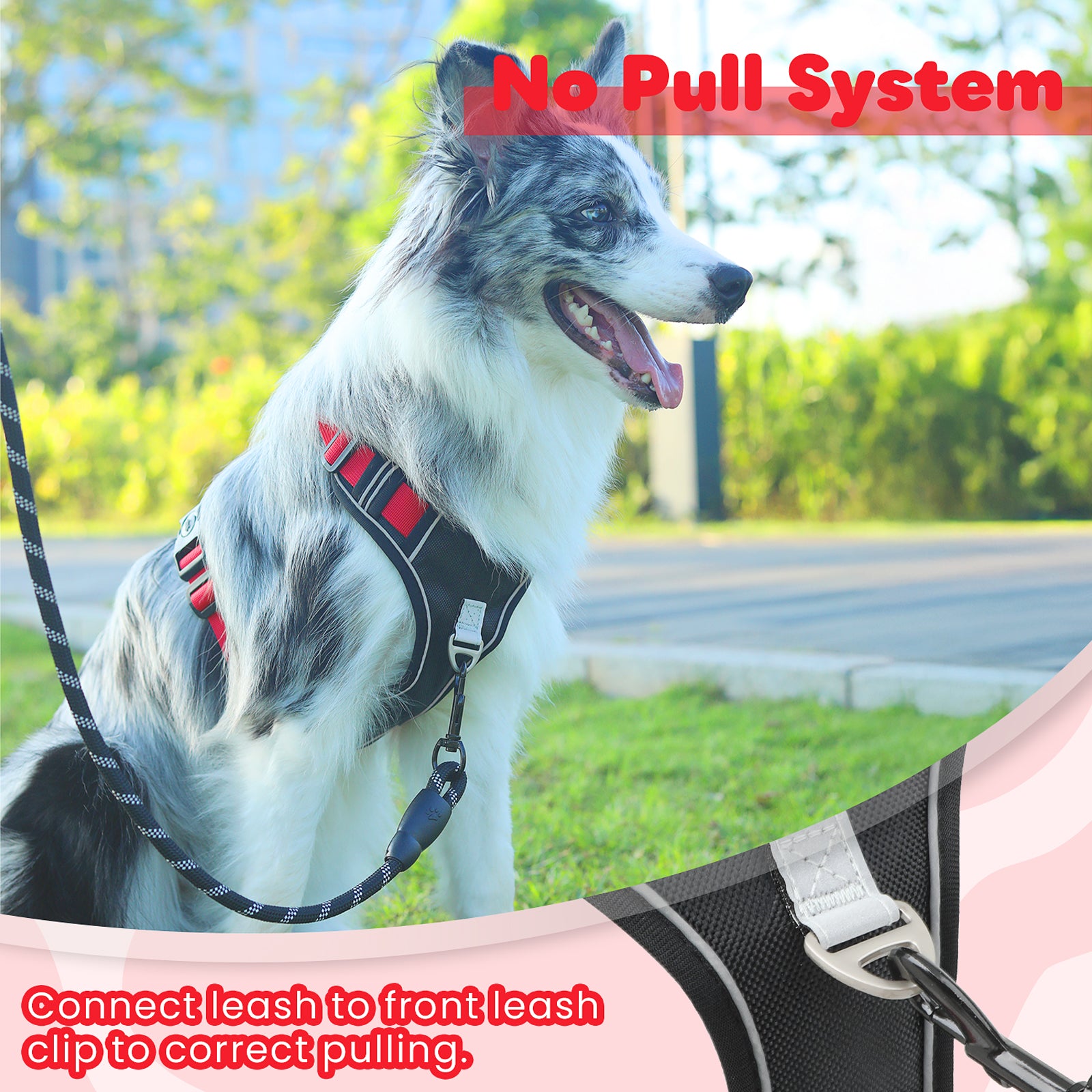 PcEoTllar Dog Harness and Leash Combo, Escape Proof No Pull Vest Harness, with Reflective Leash, Adjustable Pet Harness with Handle for Small Dogs, Black S