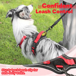 Load image into Gallery viewer, PcEoTllar Dog Harness and Leash Combo, Escape Proof No Pull Vest Harness, with Reflective Leash, Adjustable Pet Harness with Handle for Small Dogs, Black S
