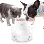 Load image into Gallery viewer, PcEoTllar Cat Water Fountain, Automatic Rechargeable Pet Water Dispenser for Cats and Dogs, White
