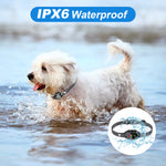 Load image into Gallery viewer, Anti-Bark Collar for Small Dogs, No Shock Bark Collar with Beep &amp; Vibration, 1-7 Sensitivities Adjustable, Rechargeable Dog Barking Collar - Black
