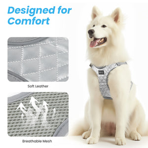PcEoTllar Dog Harness and Leash Combo, Escape Proof No Pull Vest Harness, Step-in Reflective Adjustable Soft Padded Pet Harness for Small to Large Dogs