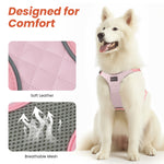 Load image into Gallery viewer, PcEoTllar Dog Harness and Leash Combo, Escape Proof No Pull Vest Harness, Step-in Reflective Adjustable Soft Padded Pet Harness for Small to Large Dogs

