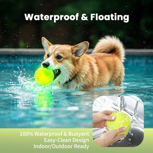 Light Up Dog Ball, Rechargeable LED Dog Toy Ball, Waterproof Durable Fetch Ball Grow in The Dark, Night Glowing Toy, Natural Rubber, Color Changing LED, Green