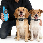 Load image into Gallery viewer, PcEoTllar Dog Training Collar with Remote 2600ft Range, Strong Vibrating Dog Collar Beep and Vibrate Only, Waterproof &amp; Rechargeable Vibration Collar for Small Medium Large Dogs, Blue
