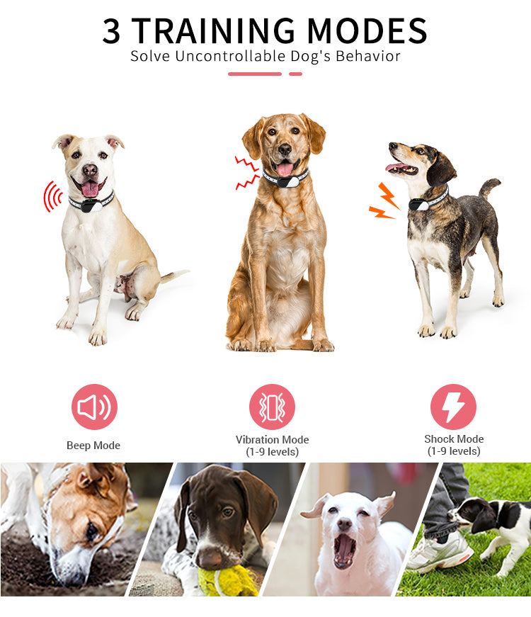 PcEoTllar Shock Collar for Small Dogs, Large Cat Training Collar, Rechargeable Dog Training Collar with Remote for Medium Dogs