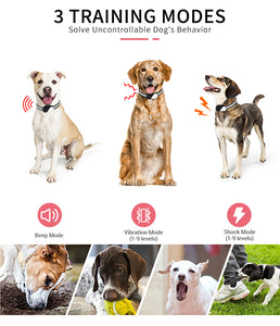 PcEoTllar Shock Collar for Small Dogs, Large Cat Training Collar, Rechargeable Dog Training Collar with Remote for Medium Dogs