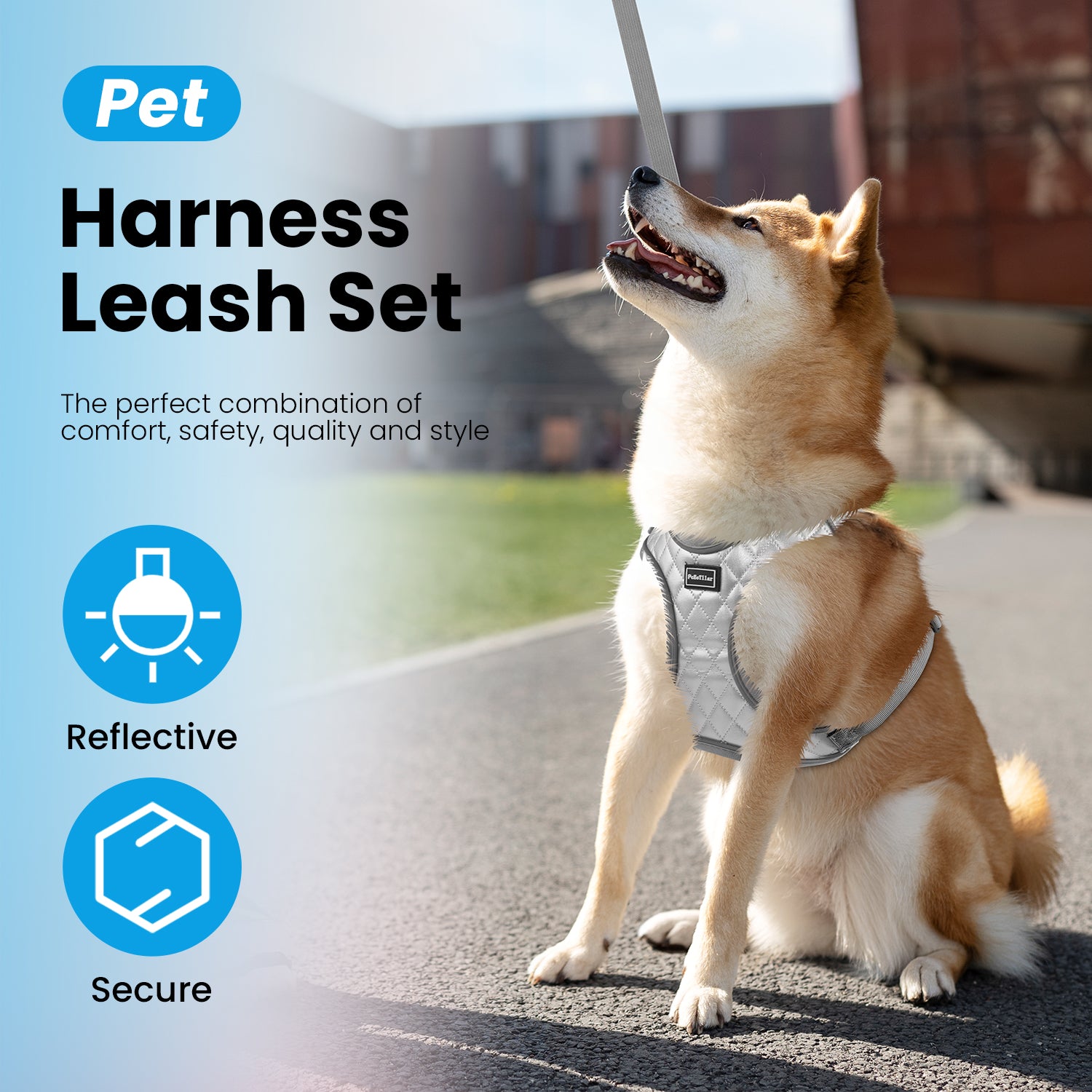 PcEoTllar Dog Harness and Leash Combo, Escape Proof No Pull Vest Harness, Step-in Reflective Adjustable Soft Padded Pet Harness for Small to Large Dogs