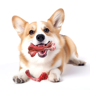 PcEoTllar Dog Toys for Aggressive Chewers, 1 Soft Rubber & 1 Nylon Dog Chew Bones, Medium, 2 Pack