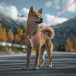 Load image into Gallery viewer, PcEoTllar Dog Harness and Leash Combo, Escape Proof No Pull Vest Harness, Step-in Reflective Adjustable Soft Padded Pet Harness for Small to Large Dogs
