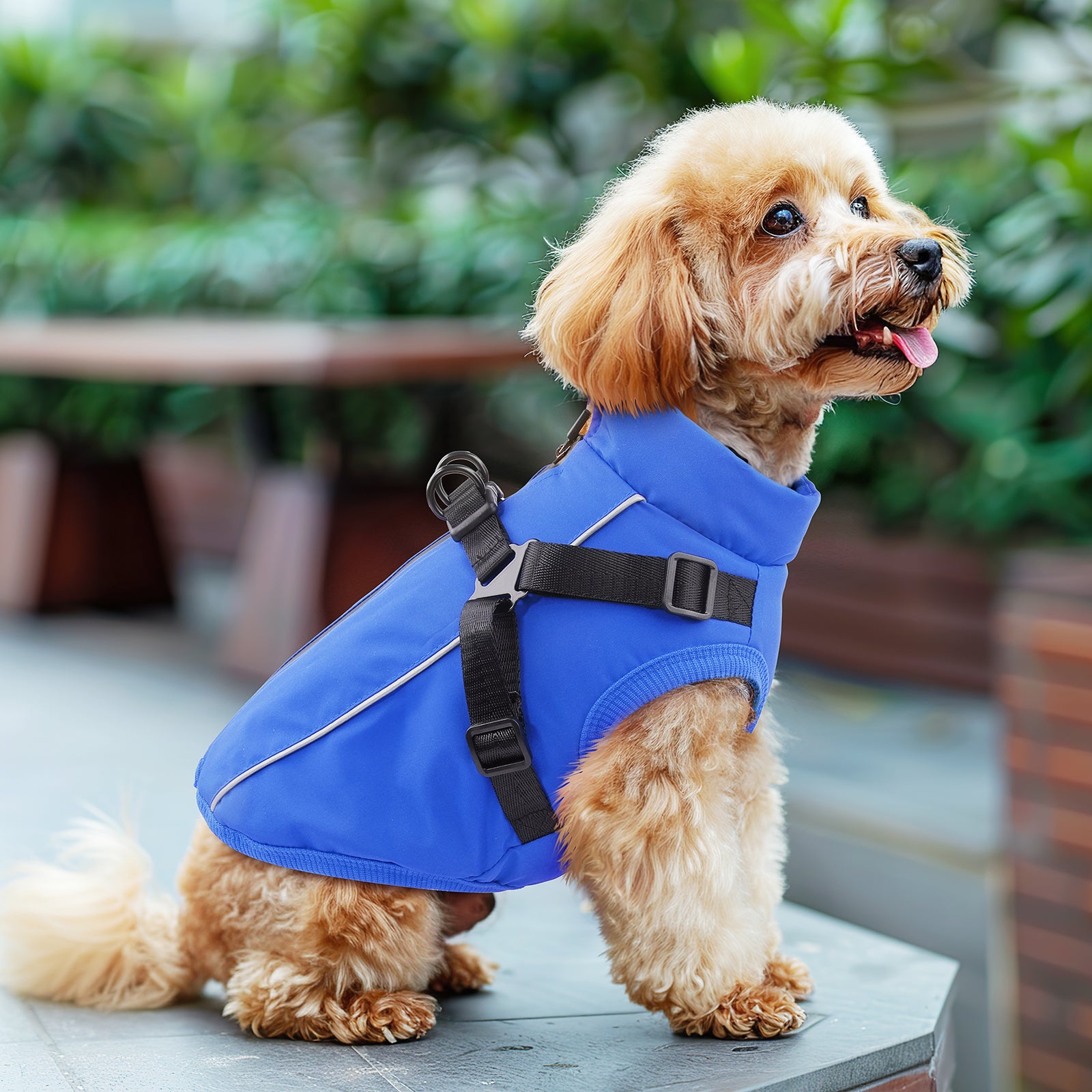 PcEoTllar Winter Dog Coat with Harness, Waterproof Reflective Dog Winter Jacket, Thick Fleece Snowsuit Christmas Vest for Small Dogs 8-11 lbs, Black