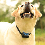 Load image into Gallery viewer, PcEoTllar Ultrasonic Dog Bark Collar, Rechargeable Anti Barking Collar with Beep, Vibration &amp; Ultrasonic for Small Medium Large Dogs (Black)
