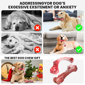 PcEoTllar Dog Toys for Aggressive Chewers, 1 Rubber & 1 Nylon Dog Chew Bones, Large, Pink, 2 Pack