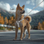 Load image into Gallery viewer, PcEoTllar Dog Harness and Leash Combo, Escape Proof No Pull Vest Harness, Step-in Reflective Adjustable Soft Padded Pet Harness for Small to Large Dogs

