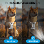 Load image into Gallery viewer, PcEoTllar Dog Harness and Leash Combo, Escape Proof No Pull Vest Harness, Step-in Reflective Adjustable Soft Padded Pet Harness for Small to Large Dogs
