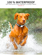 Load image into Gallery viewer, PcEoTllar Shock Collar for Small Dogs, Large Cat Training Collar, Rechargeable Dog Training Collar with Remote for Medium Dogs
