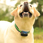 Load image into Gallery viewer, PcEoTllar Ultrasonic Dog Bark Collar, Rechargeable Anti Barking Collar with Beep, Vibration &amp; Ultrasonic for Small Medium Large Dogs (Green)
