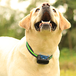 PcEoTllar Ultrasonic Dog Bark Collar, Rechargeable Anti Barking Collar with Beep, Vibration & Ultrasonic for Small Medium Large Dogs (Green)