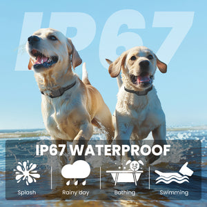PcEoTllar Shock Collar for 2 Dogs, 4 Modes Beep Vibration Shock Dog Training Collar, IPX7 Waterproof Dog Bark Collar for Training Small Medium Large Dogs