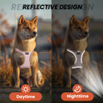 Load image into Gallery viewer, PcEoTllar Dog Harness and Leash Combo, Escape Proof No Pull Vest Harness, Step-in Reflective Adjustable Soft Padded Pet Harness for Small to Large Dogs
