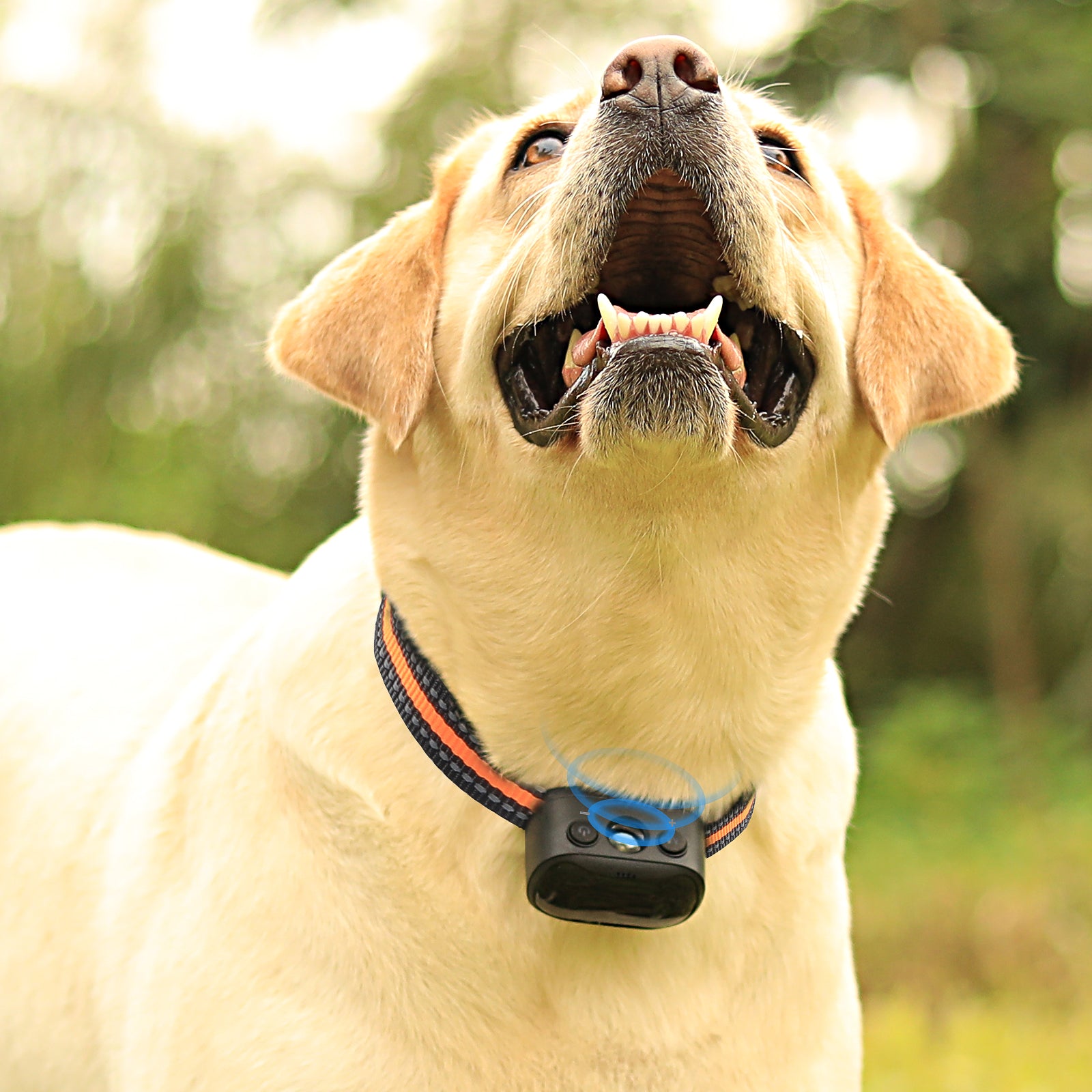 PcEoTllar Ultrasonic Dog Bark Collar, Rechargeable Anti Barking Collar with Beep, Vibration & Ultrasonic for Small Medium Large Dogs (Orange)
