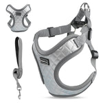 Load image into Gallery viewer, PcEoTllar Dog Harness and Leash Combo, Escape Proof No Pull Vest Harness, Step-in Reflective Adjustable Soft Padded Pet Harness for Small to Large Dogs

