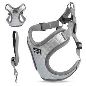 PcEoTllar Dog Harness and Leash Combo, Escape Proof No Pull Vest Harness, Step-in Reflective Adjustable Soft Padded Pet Harness for Small to Large Dogs