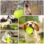Load image into Gallery viewer, Light Up Dog Ball, Rechargeable LED Dog Toy Ball, Waterproof Durable Fetch Ball Grow in The Dark, Night Glowing Toy, Natural Rubber, Color Changing LED, Green
