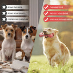 Load image into Gallery viewer, PcEoTllar Dog Toys for Aggressive Chewers, 1 Rubber &amp; 1 Nylon Dog Chew Bones, Large, Pink, 2 Pack
