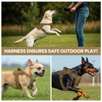 Load image into Gallery viewer, PcEoTllar No Pull Dog Harness for Small Dogs, Reflective Dog Vest Harness with Handle, Adjustable Easy on Dog Harness for Training Running Walking
