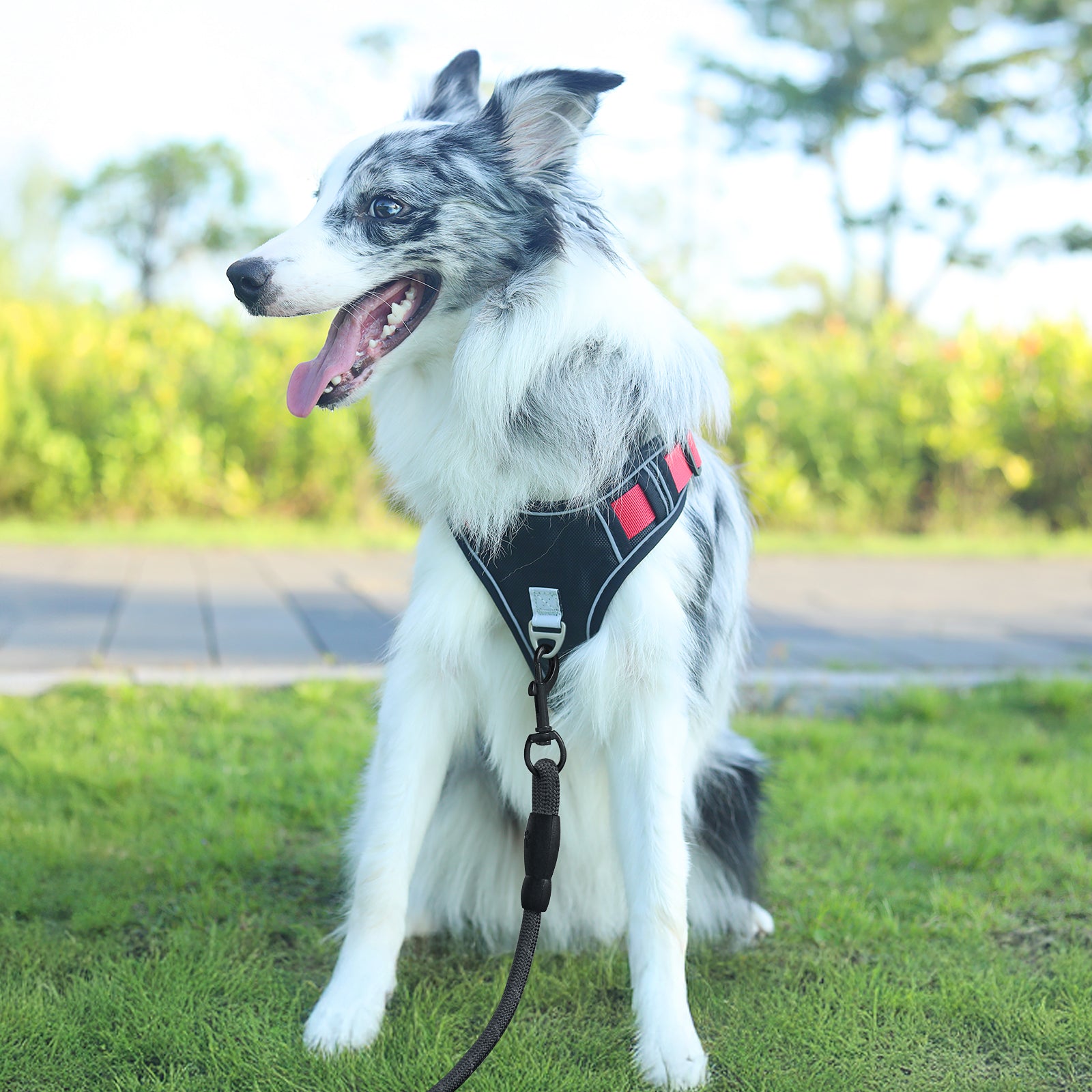 PcEoTllar Dog Harness and Leash Combo, Escape Proof No Pull Vest Harness, with Reflective Leash, Adjustable Pet Harness with Handle for Small Dogs, Black S