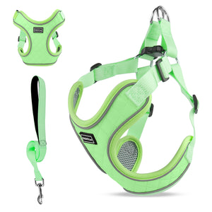 PcEoTllar Dog Harness and Leash Combo, Escape Proof No Pull Vest Harness, Step-in Reflective Adjustable Soft Padded Pet Harness for Small to Large Dogs