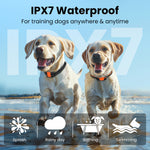 Load image into Gallery viewer, PcEoTllar Dog Training Collars for 2 Dogs, Dog Shock Collar with Remote, 3 Modes Beep Vibration Shock, Dog Bark Collar for Small Medium Large Dogs

