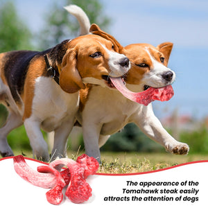 PcEoTllar Dog Toys for Aggressive Chewers Large Breed, Indestructible Durable Non-Toxic Nylon Dog Chew Toy Bones for Medium Large Dogs