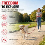 Load image into Gallery viewer, PcEoTllar Dog Tie-Out Cable, Long Dog Leash, 20FT Dog Training Leash, Reflective Heavy Duty Rope Dog Lead for Outside, Hiking, Swimming, Beach and Lake
