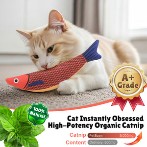 PcEoTllar Cat Toys Interactive for Indoor Cats, 13 Pcs Durable Fishing Pole Cats Feathers Toys, Cat Toys Saury Fish, Enhanced Suction Cup Cats Wand Toy, Door Hanging Cat String Toys for Indoor Kitten