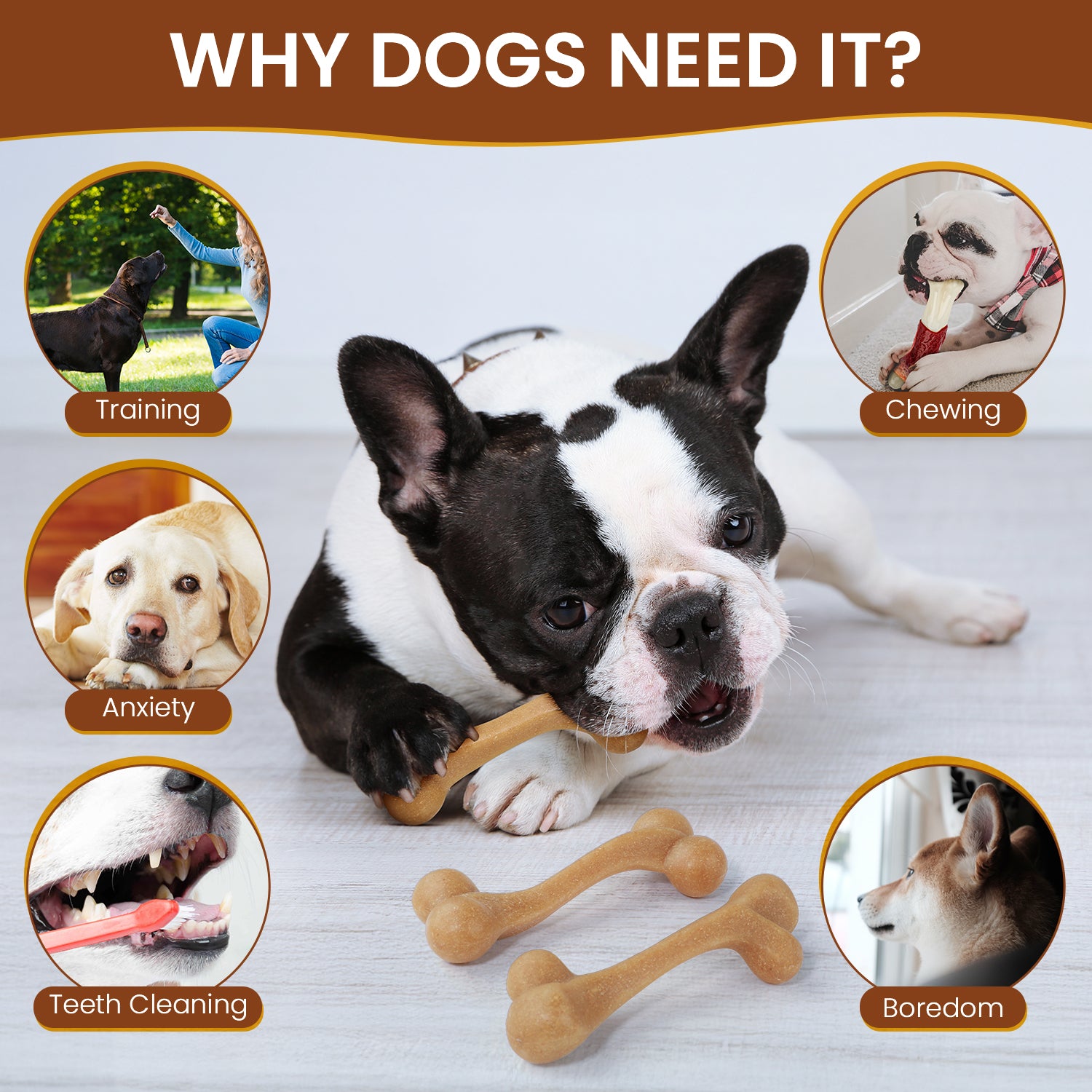 3 Pack Dog Toys for Aggressive Chewers, Nylon Dog Chew Toy, Teething Bones for Large Small Medium Dogs