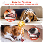 Load image into Gallery viewer, 7 Pack Dog Toys for Aggressive Chewers, Tough Indestructible Dog Chew Bone, Plush Dog Squeak Toy, Teething Dog Rope Toys, for Puppies Small Medium Dogs
