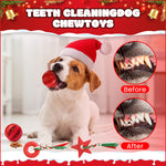 Load image into Gallery viewer, 10 pack Dog Toys for Aggressive Chewers, PcEoTllar Squeaky Plush Dog Rope Toys, Puppy Chew Toys, Xmas Pet Gifts for Small Medium Large Dogs
