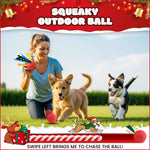 Load image into Gallery viewer, 10 pack Dog Toys for Aggressive Chewers, PcEoTllar Squeaky Plush Dog Rope Toys, Puppy Chew Toys, Xmas Pet Gifts for Small Medium Large Dogs
